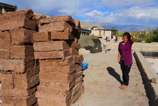 Diskit shows me the adobe bricks they have been making for further extensions. All buildings are made from these bricks, stone and locally grown poplar wood (introduced to Ladakh centuries ago for building purposes but not invasive!)